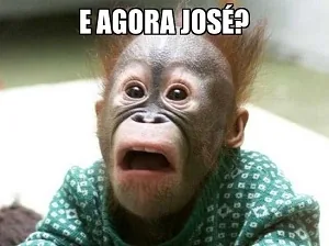 Meme de macaco surpreso questionando acca dipifr e desafios profissionais contábeis