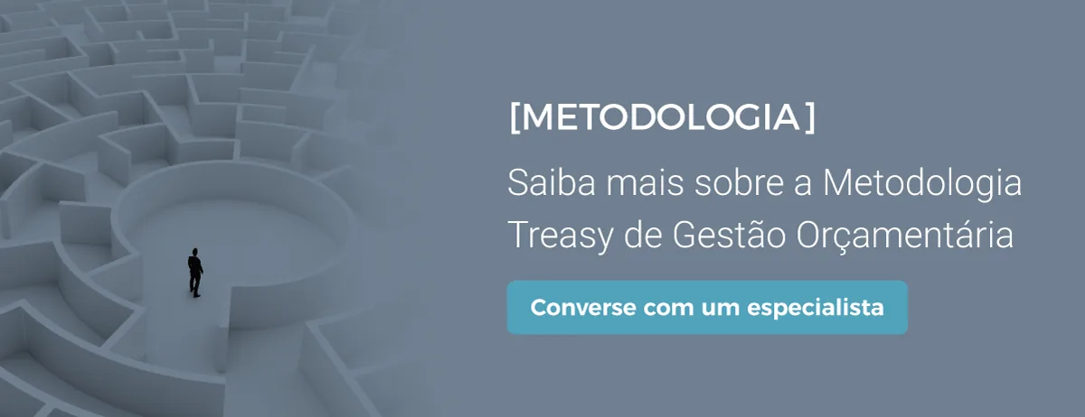 Banner metodologia Treasy sobre orçamento gestão empresarial e especialista em contratos