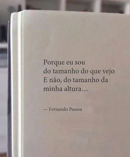 Capa de livro sobre satisfação corporativa explicando a missão da empresa