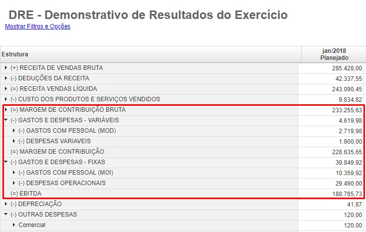 Tela de DRE expandida mostrando tudo sobre estrutura de receitas, custos e análise percentual